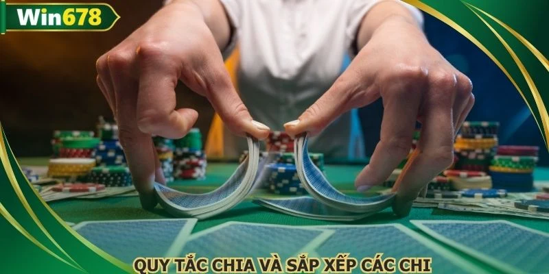 Quy tắc chia và sắp xếp các chi